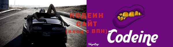 прущий лед Нея