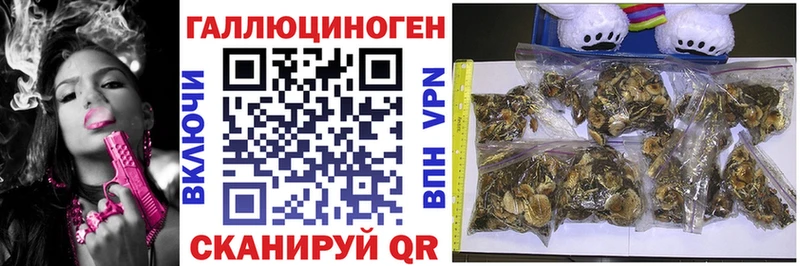 Галлюциногенные грибы мухоморы  Бабушкин 